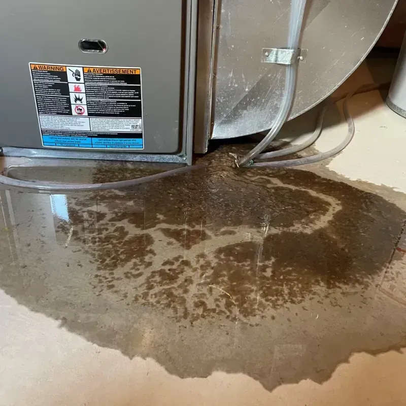 Appliance Leak Cleanup in Maple Plain, MN